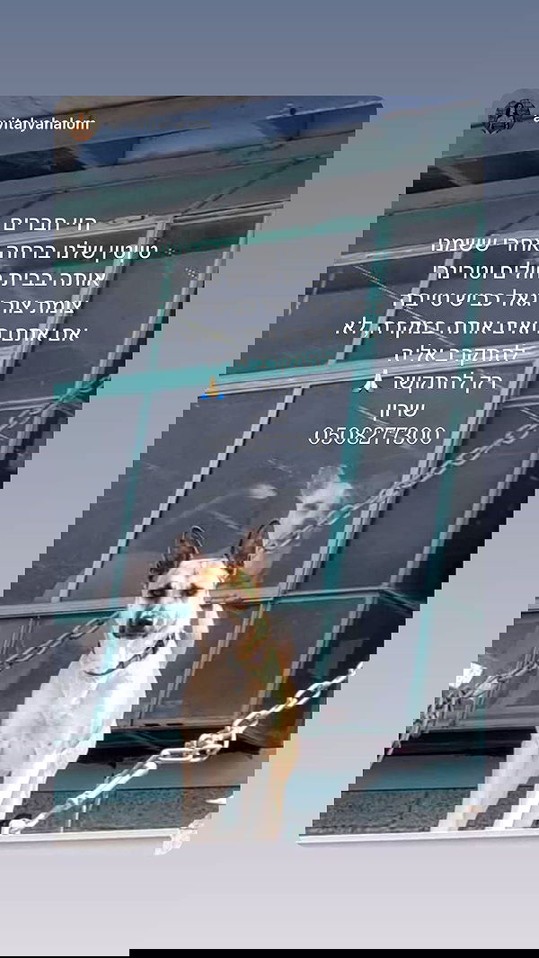 rebecka_tsadok rebecka_tsadok archive image