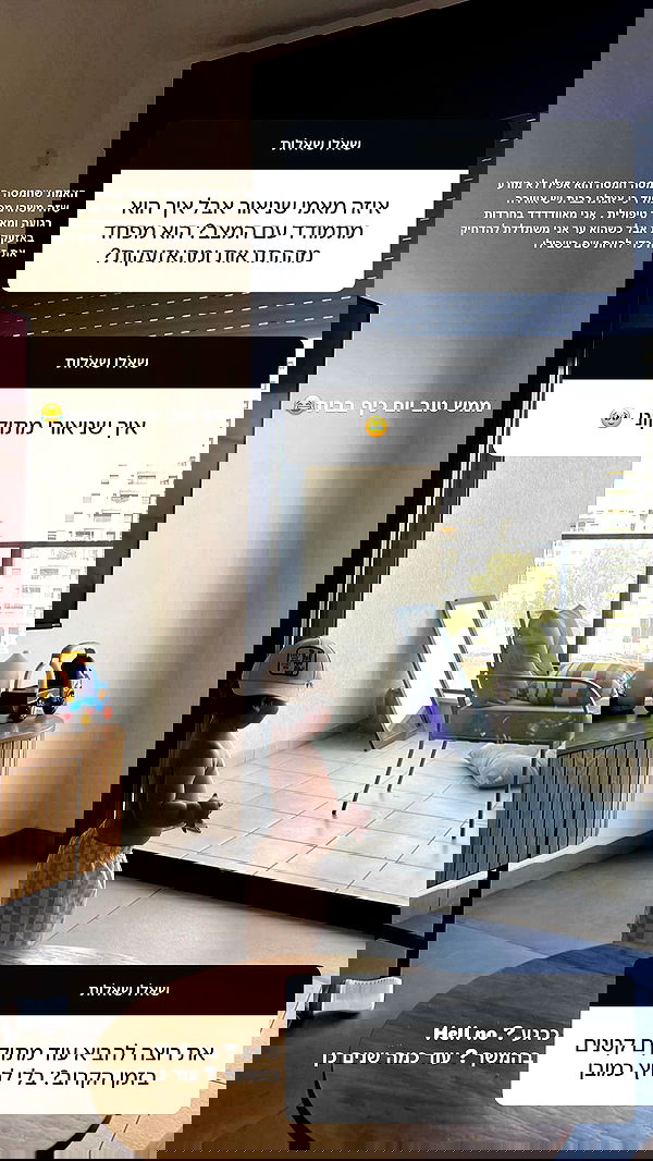 rebecka_tsadok rebecka_tsadok archive image