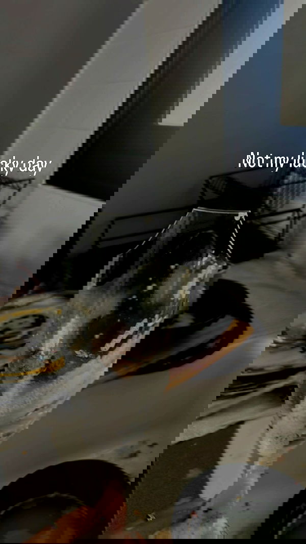 rebecka_tsadok rebecka_tsadok archive image