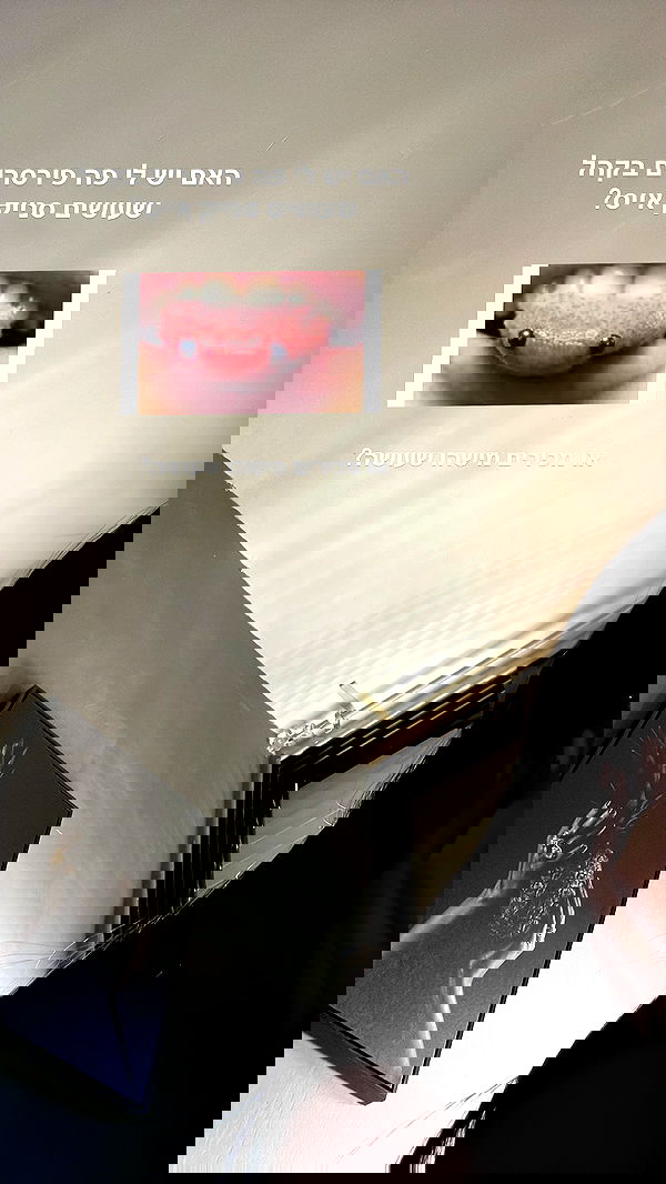 rebecka_tsadok rebecka_tsadok archive image