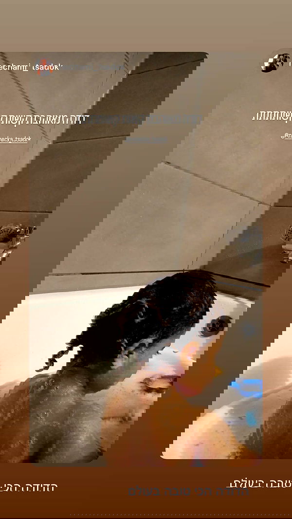 rebecka_tsadok rebecka_tsadok archive image