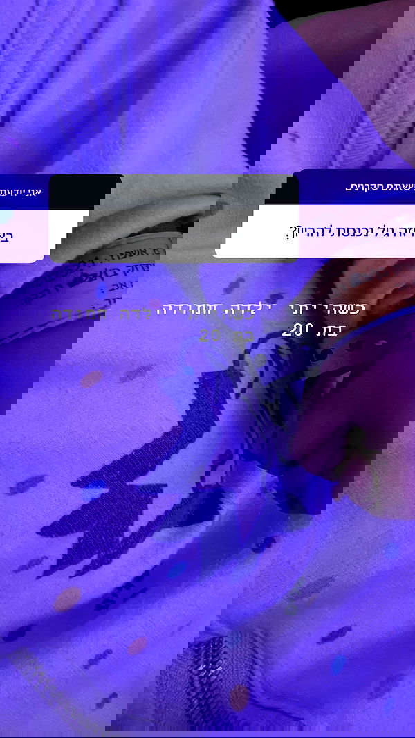 rebecka_tsadok rebecka_tsadok archive image