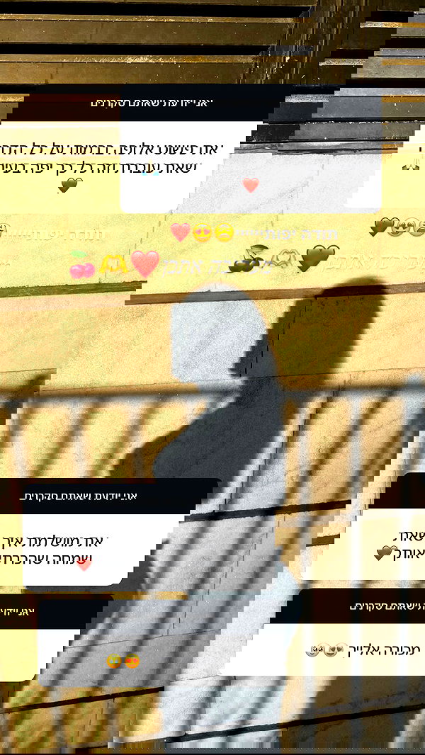 rebecka_tsadok rebecka_tsadok archive image