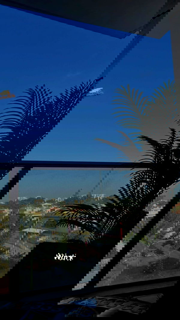 rebecka_tsadok rebecka_tsadok archive image