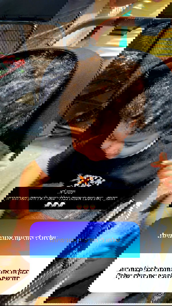 rebecka_tsadok rebecka_tsadok archive image