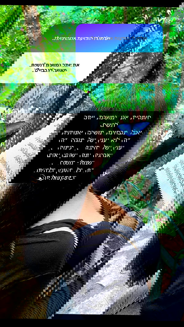 rebecka_tsadok rebecka_tsadok archive image