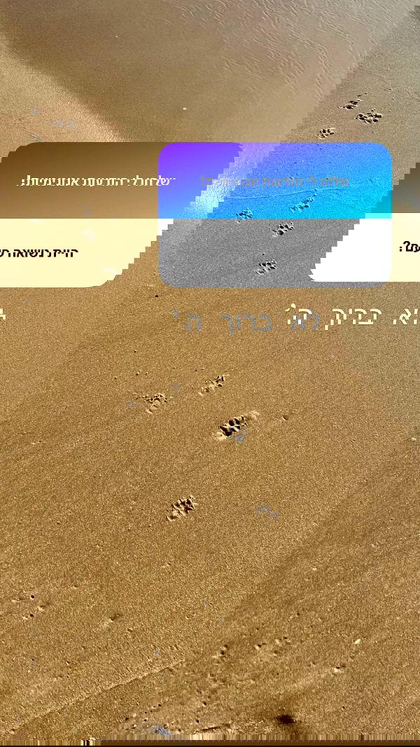 rebecka_tsadok rebecka_tsadok archive image