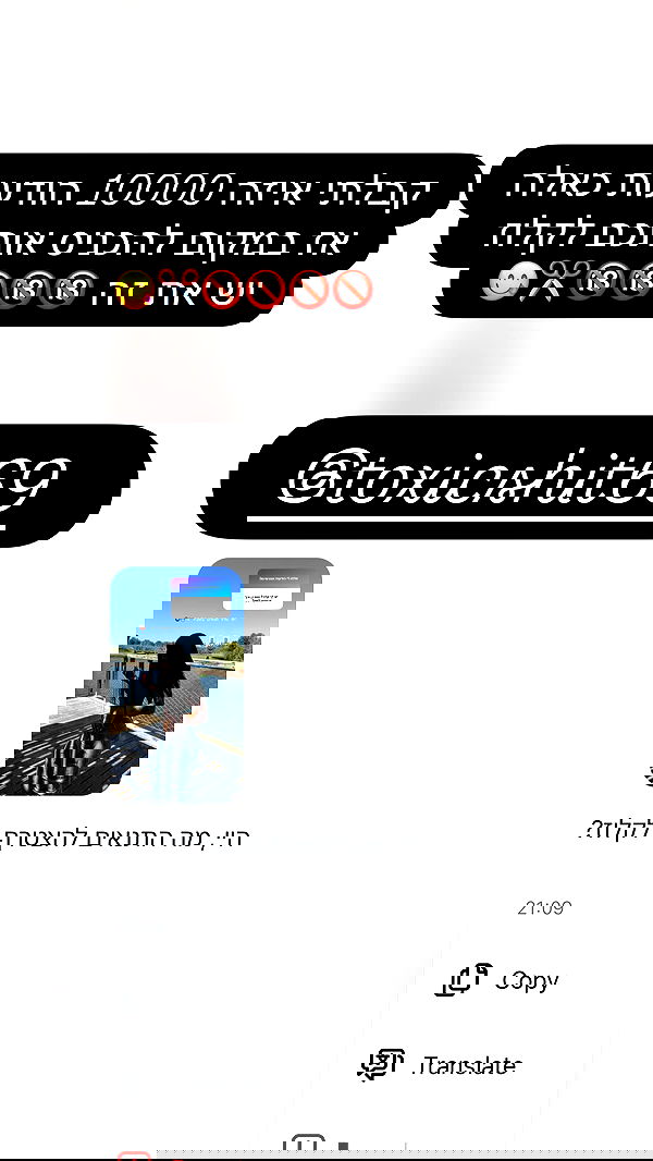 rebecka_tsadok rebecka_tsadok archive image