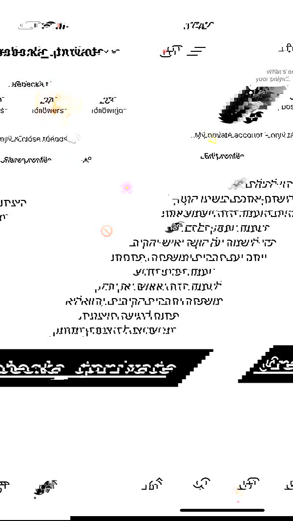 rebecka_tsadok rebecka_tsadok archive image