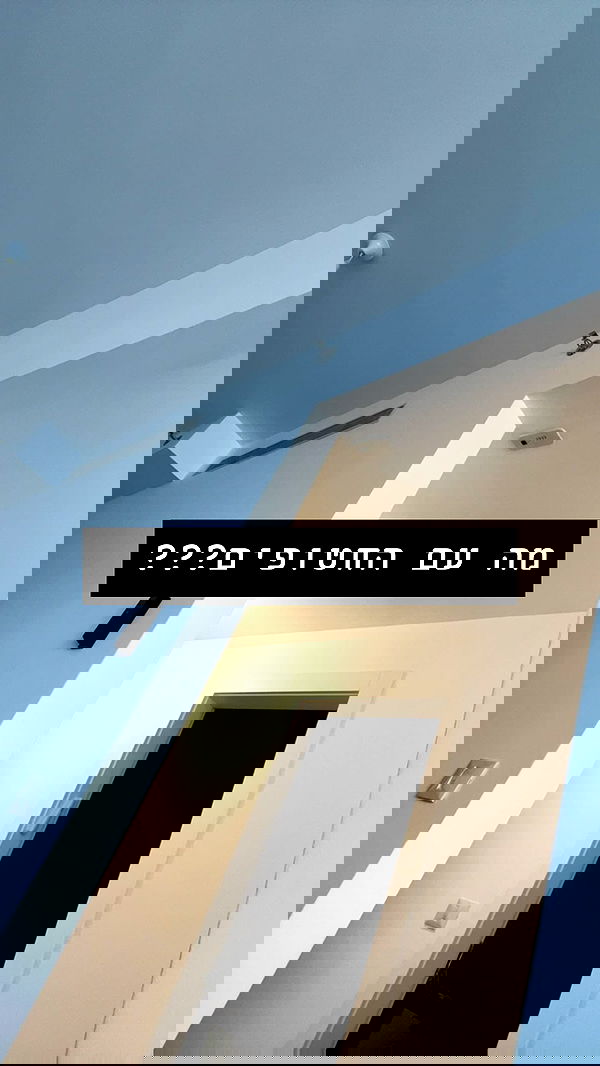 rebecka_tsadok rebecka_tsadok archive image