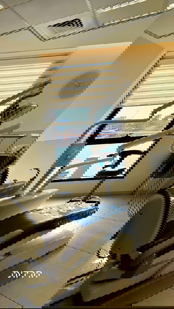 rebecka_tsadok rebecka_tsadok archive image