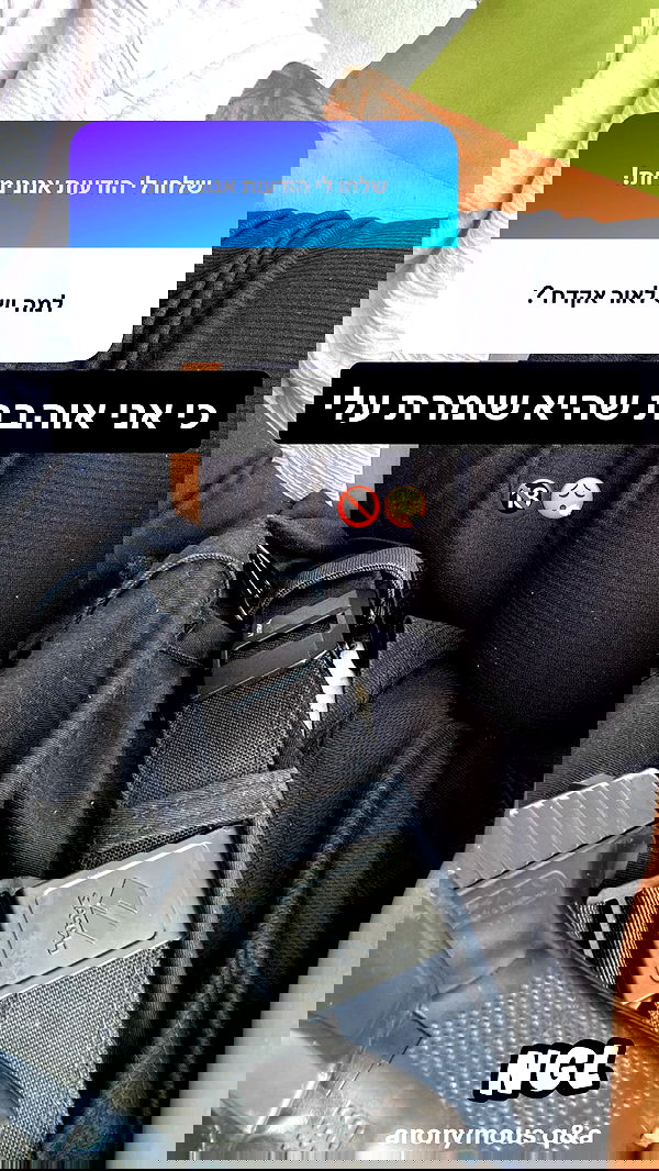 rebecka_tsadok rebecka_tsadok archive image