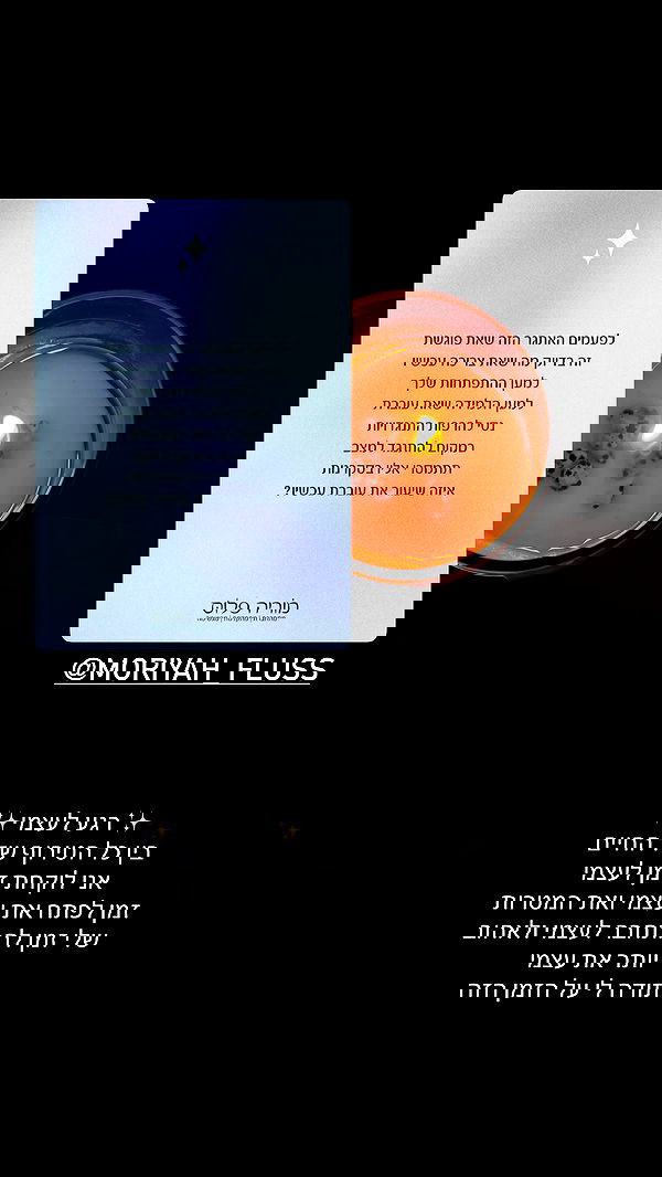 rebecka_tsadok rebecka_tsadok archive image