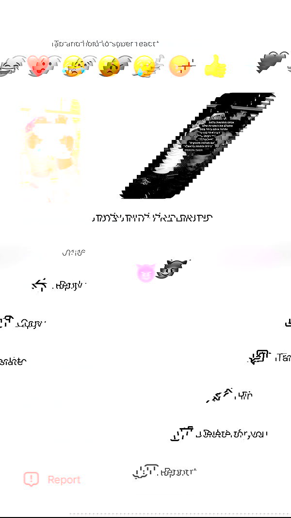 rebecka_tsadok rebecka_tsadok archive image