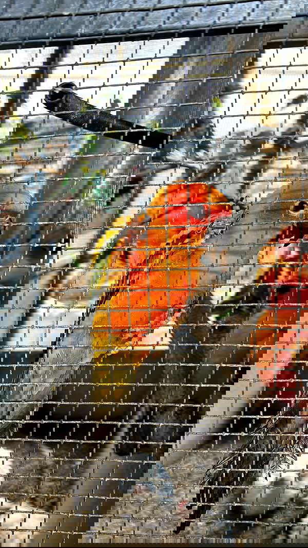 rebecka_tsadok rebecka_tsadok archive image