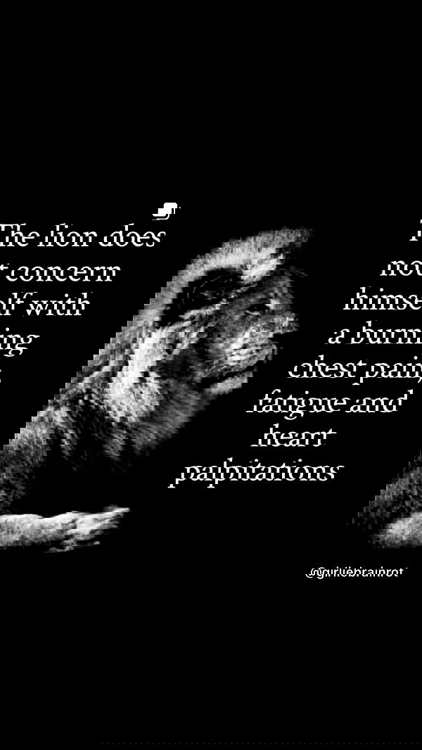 redroomromance redroomromance archive image