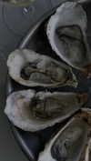 reebeccasanchezzz Altpins Profile Picture