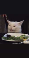 reitoshin Altpins Profile Picture