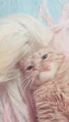 reitoshin Altpins Profile Picture