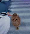 reitoshin Altpins Profile Picture