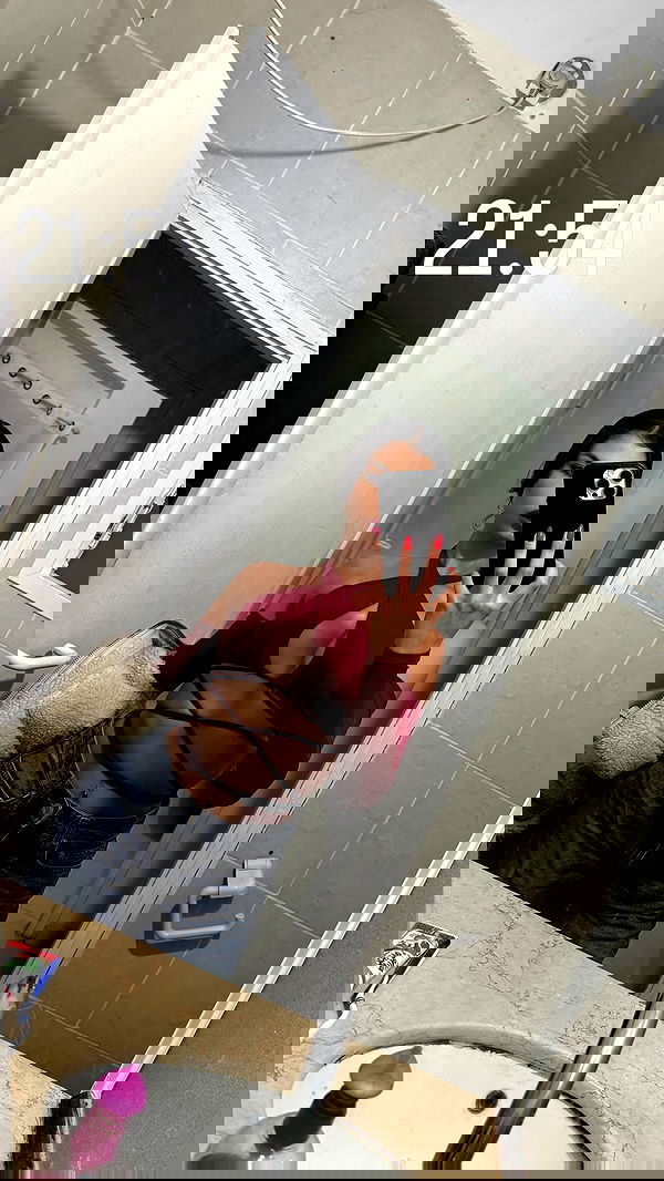 rene2141 rene2141 archive image