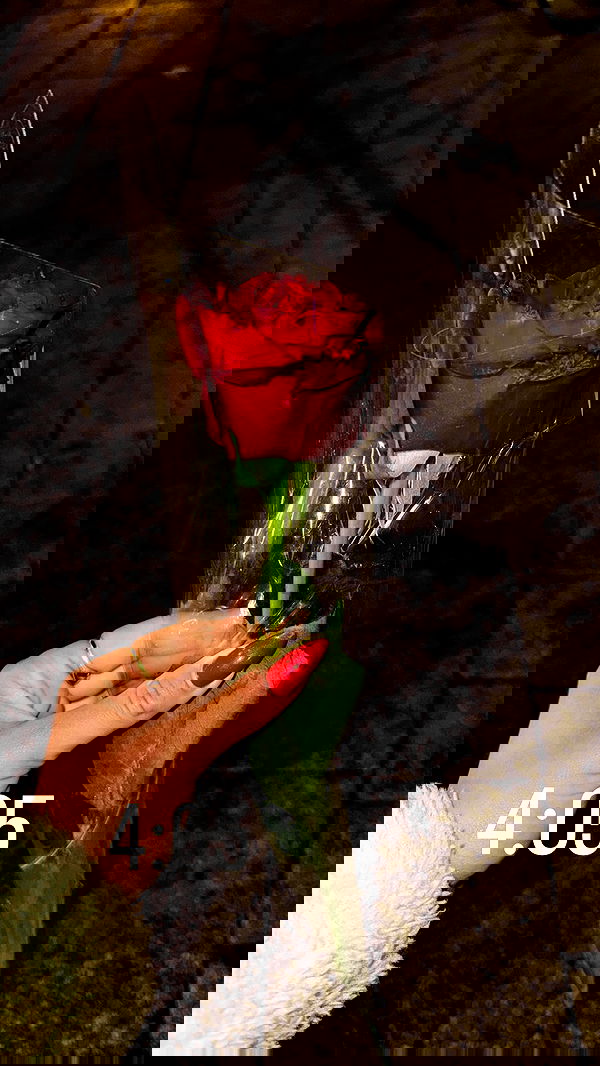 rene2141 rene2141 archive image