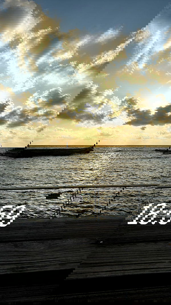 rene2141 rene2141 archive image