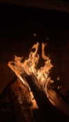 reverennce Altpins Profile Picture