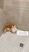 riaraexo Altpins Profile Picture