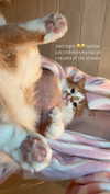 riaraexo Altpins Profile Picture