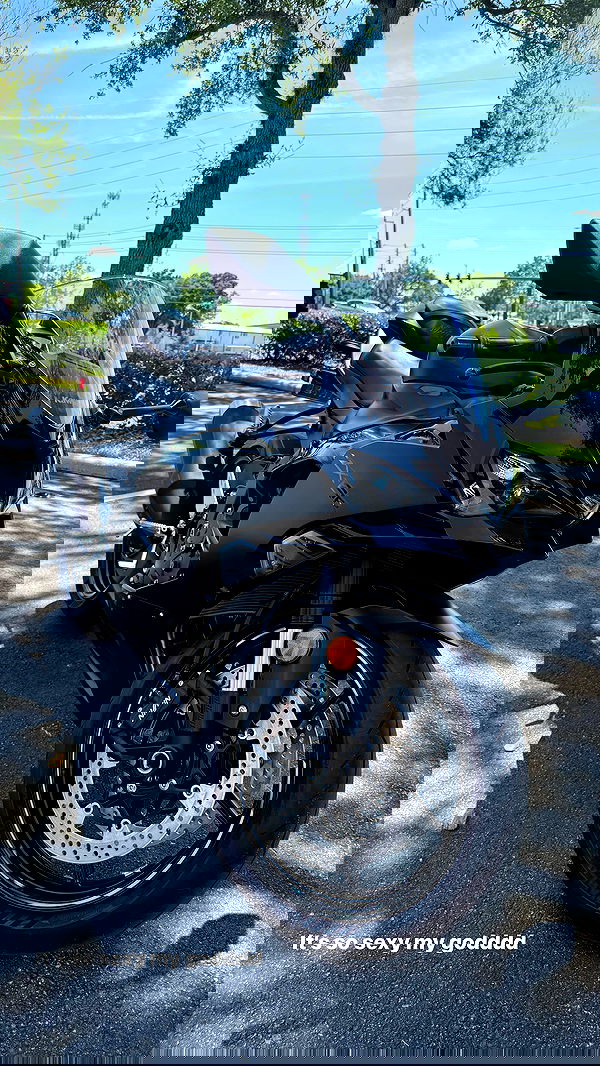 rinnibunny rinnibunny archive image