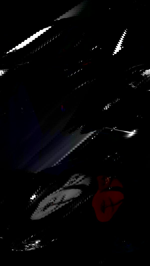 rinnibunny rinnibunny archive image