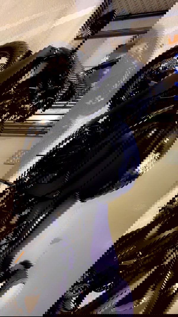 rinnibunny rinnibunny archive image