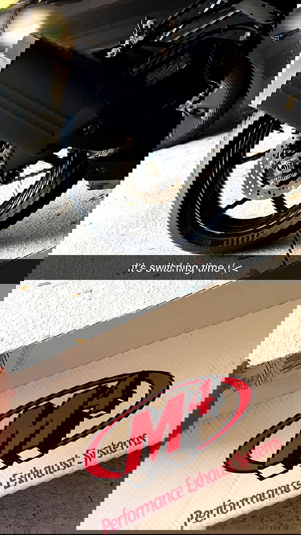 rinnibunny rinnibunny archive image