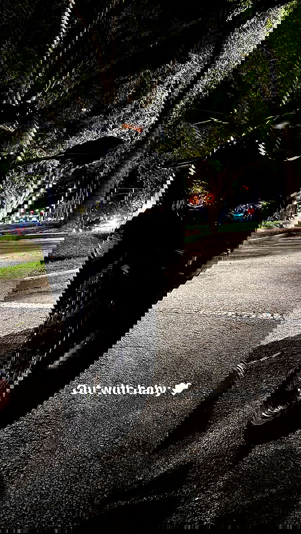 rinnibunny rinnibunny archive image