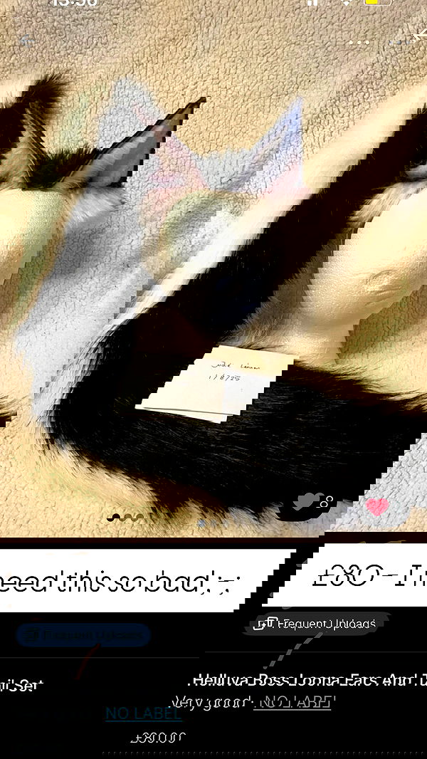 rinnicos image ~ Altpins