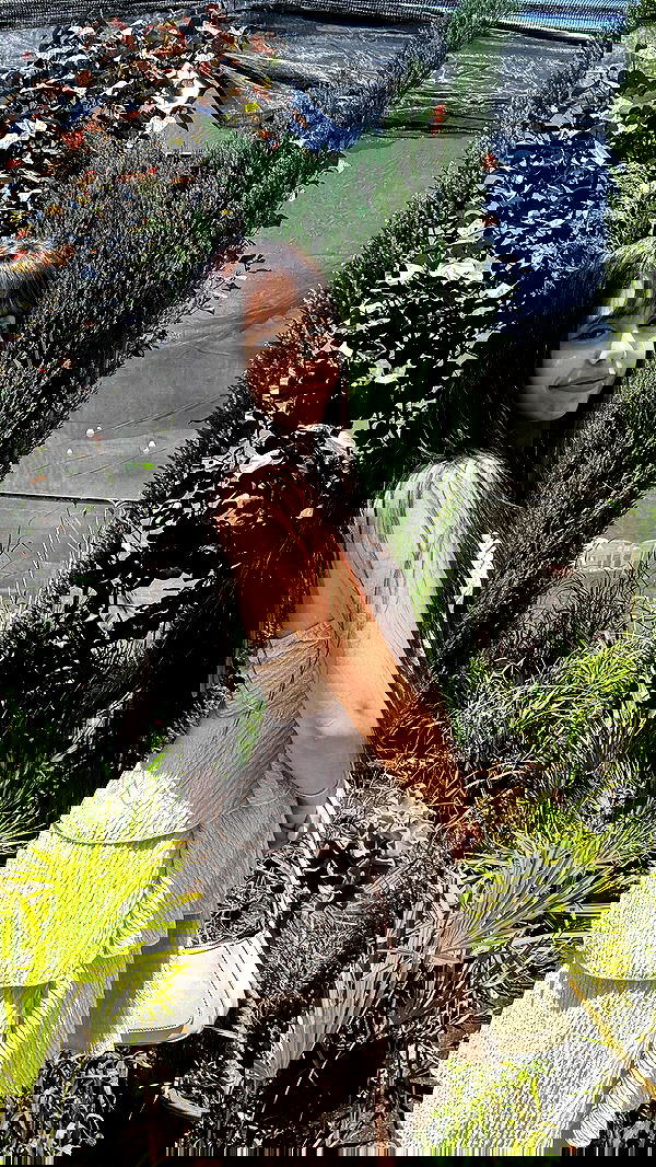 rinsrain rinsrain archive image