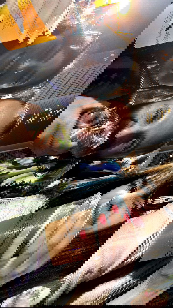 rinsrain rinsrain archive image