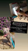 rita_kleiman Altpins Profile Picture