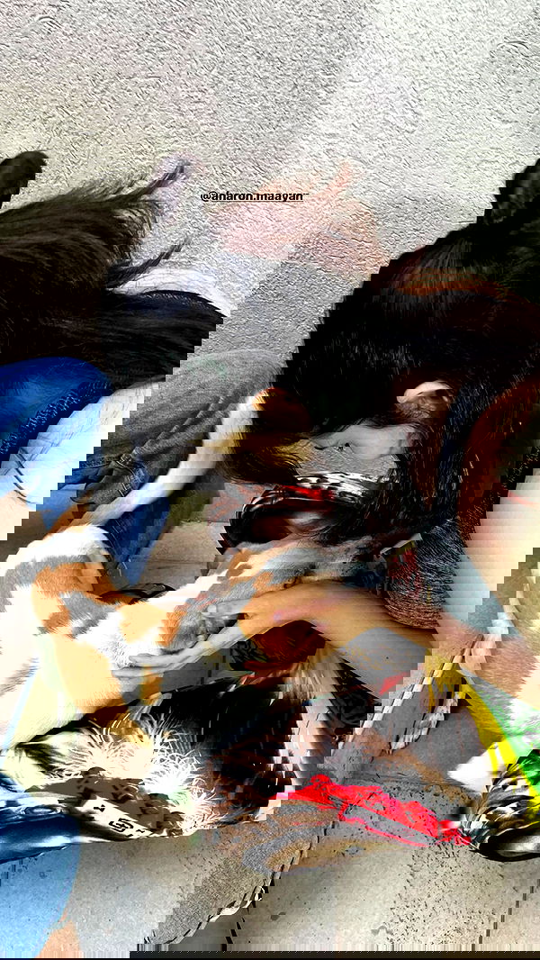 rivkavel rivkavel archive image