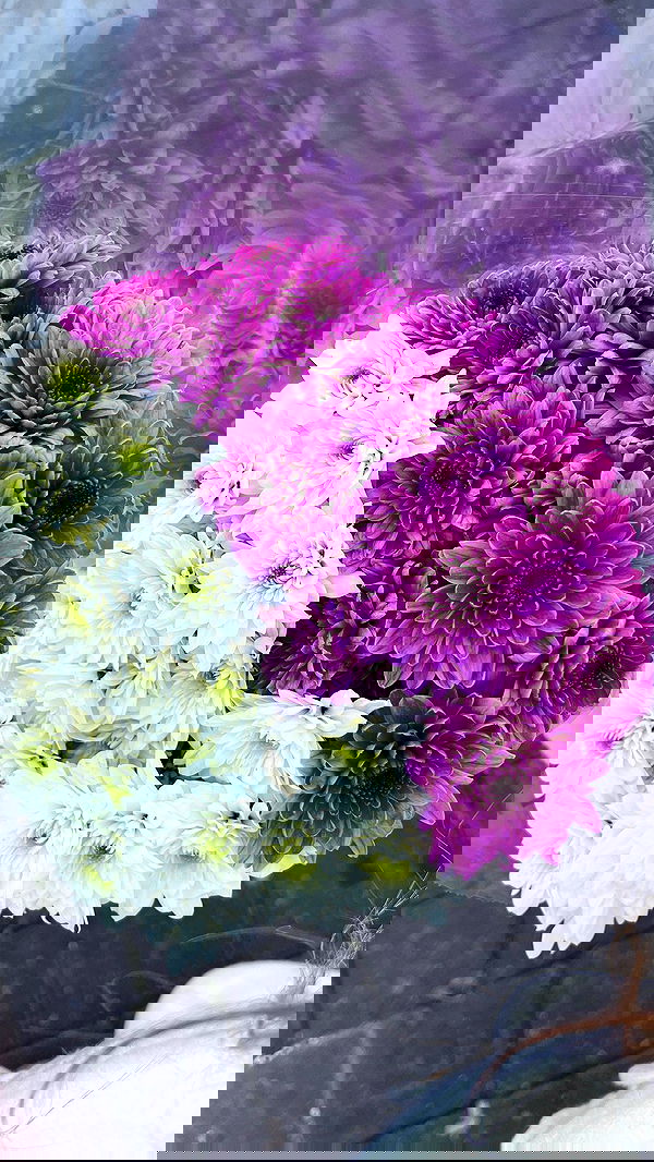 rivkavel rivkavel archive image