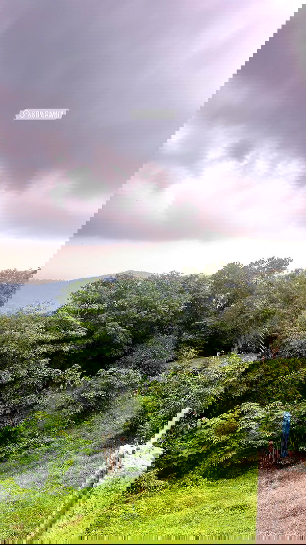 rivkavel rivkavel archive image