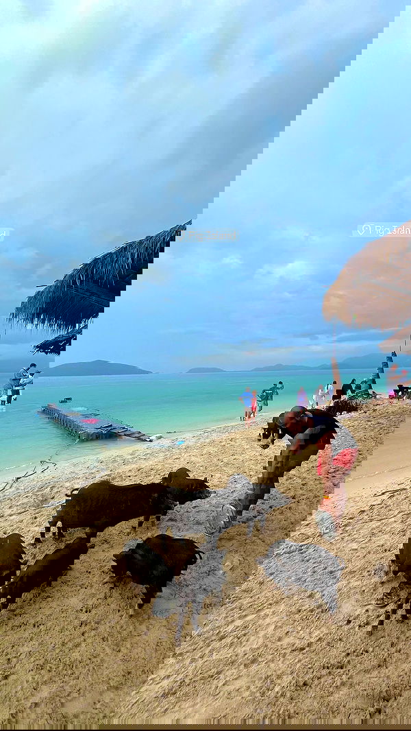 rivkavel rivkavel archive image