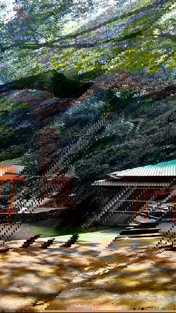 rivkavel rivkavel archive image