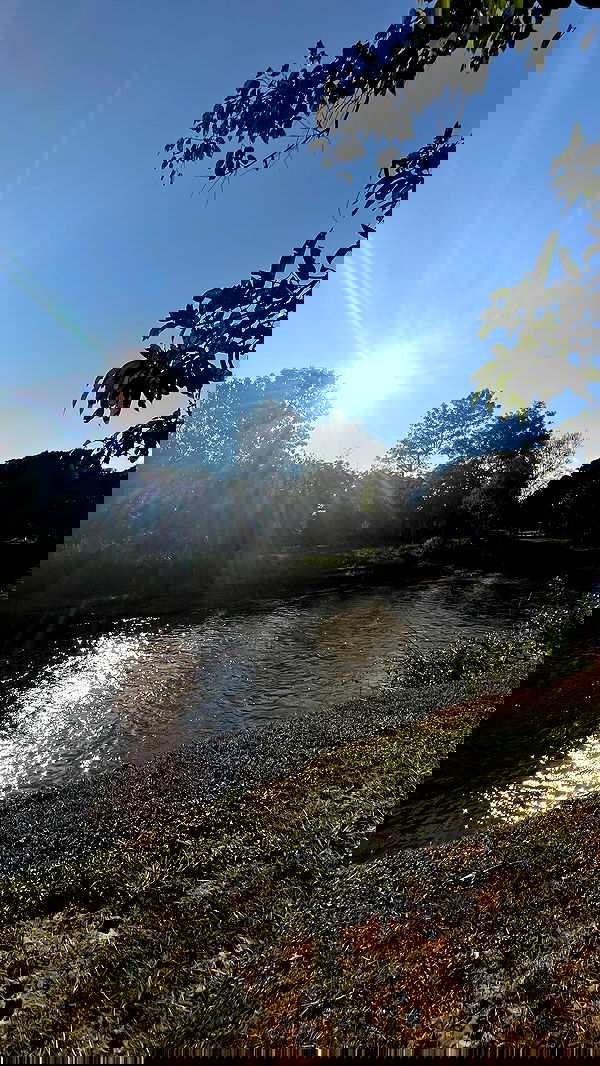 rivkavel rivkavel archive image