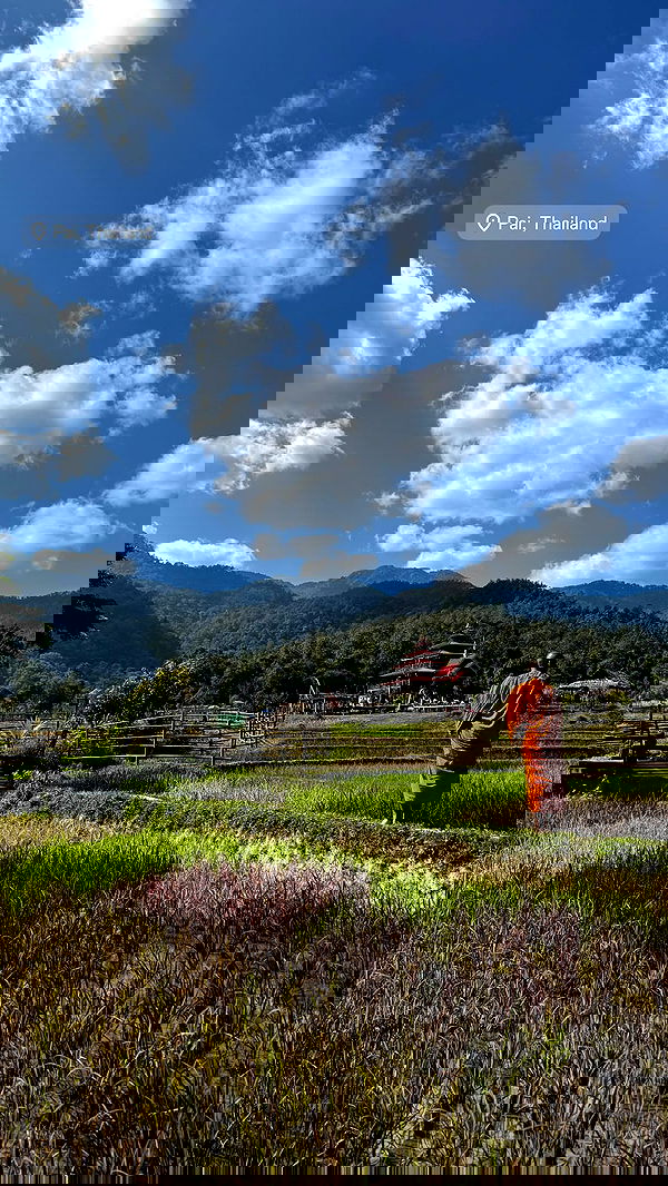 rivkavel rivkavel archive image