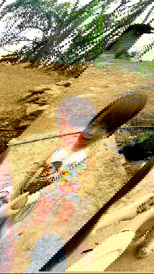 rivkavel rivkavel archive image