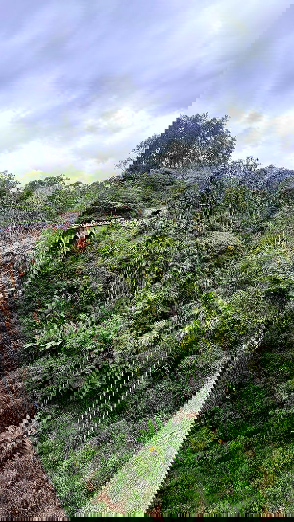 rivkavel rivkavel archive image