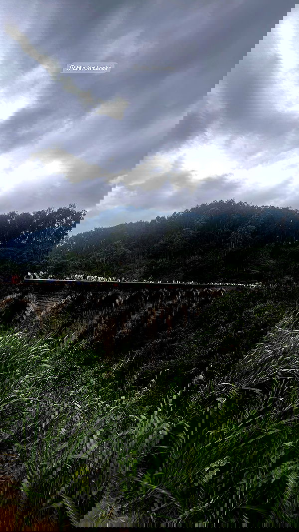 rivkavel rivkavel archive image