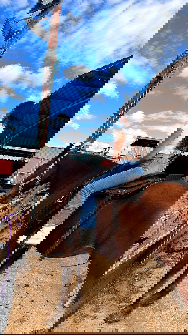 rivkavel rivkavel archive image